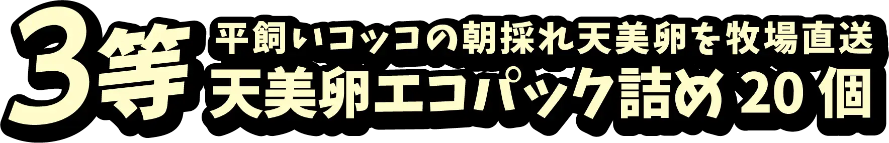 3等 平飼いコッコの朝採れ天美卵を牧場直送 天美卵エコパック詰め20個